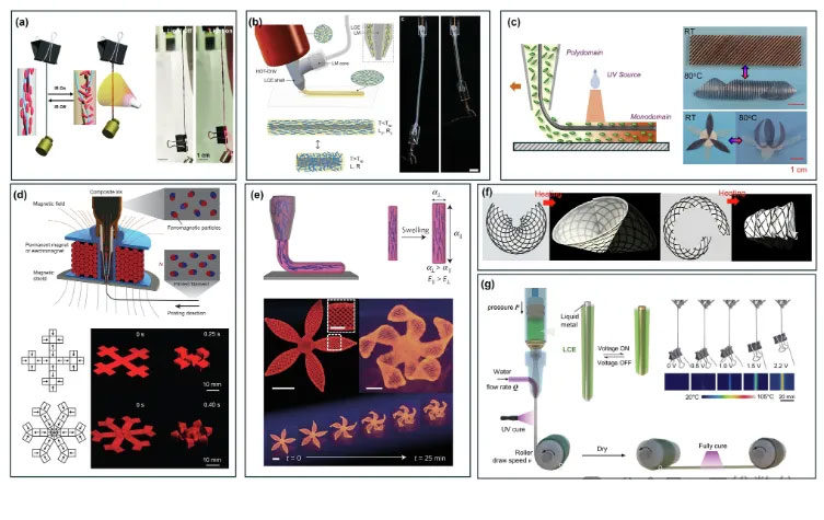 4D printing of shape-shifting composites. Image via Nature Communications.